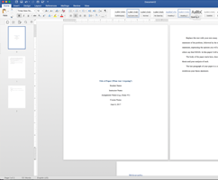 MS Word Essay Template