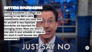 Slide 6