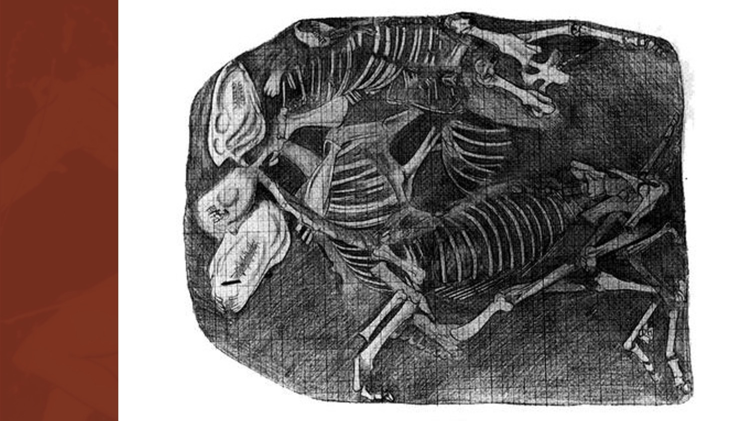 Slide 17