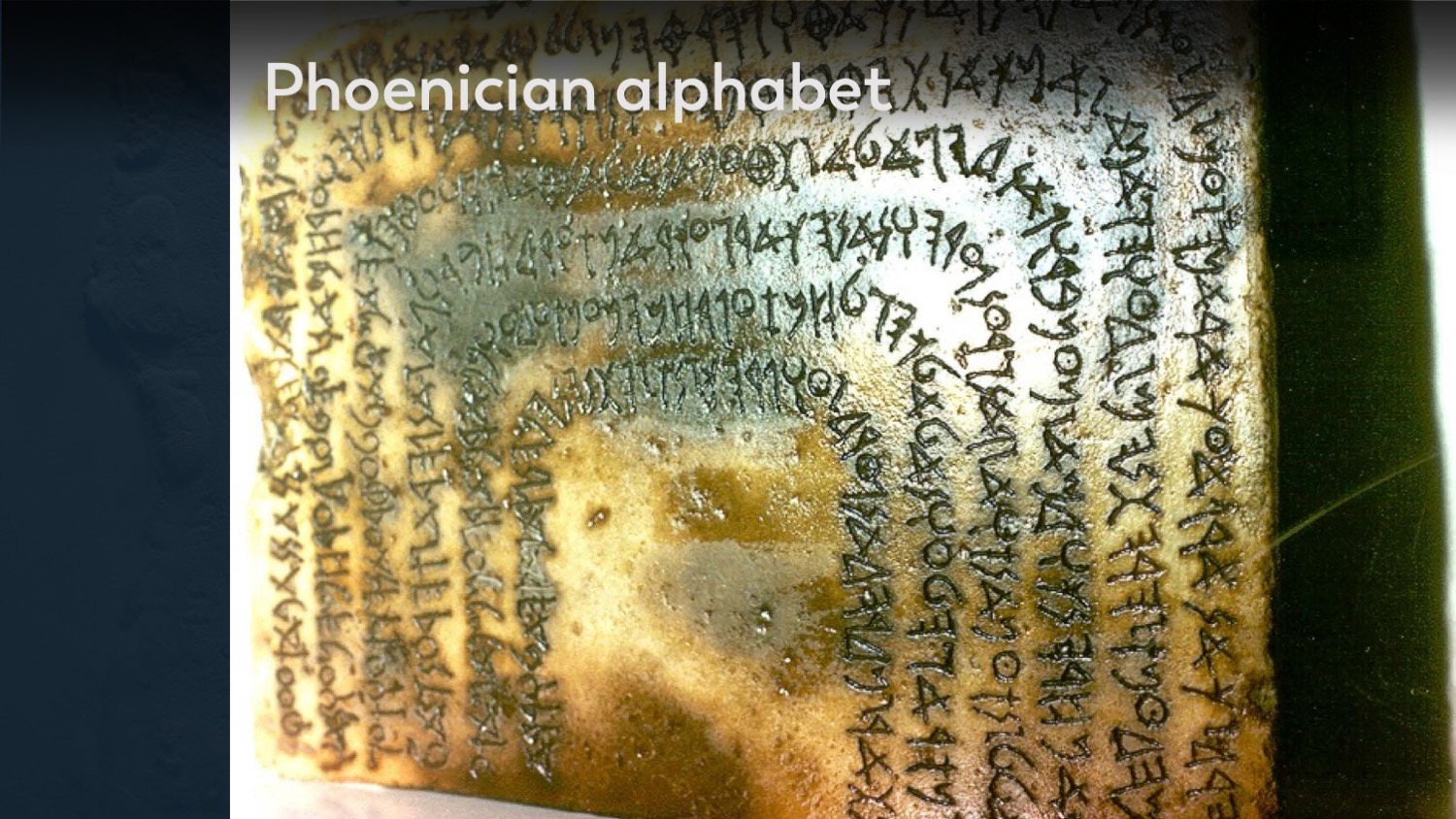 Slide 8