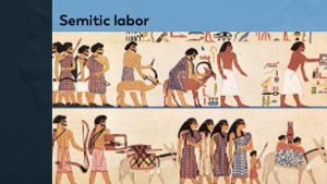 Slide 23