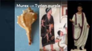 Slide 34